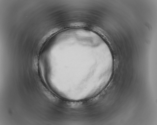 X0000113260345200910081344