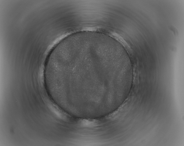 X0000113260346200910081344