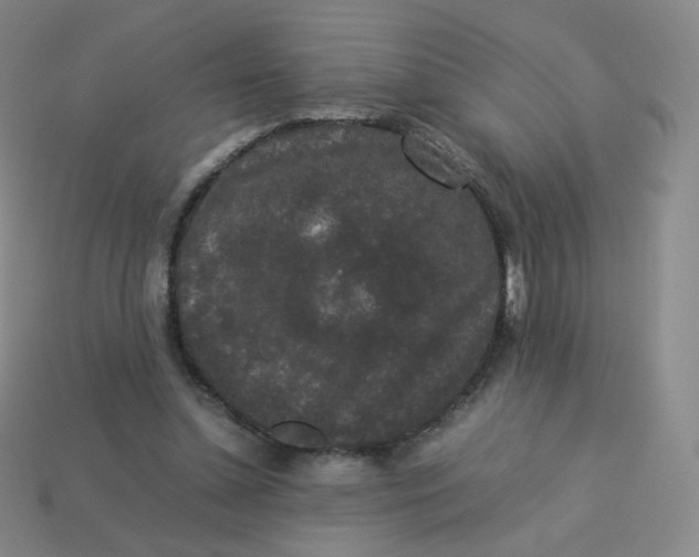 X0000113260348200910081344