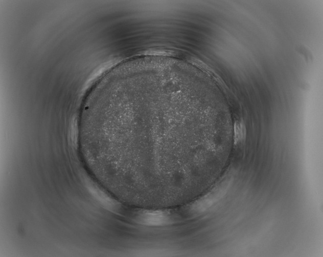 X0000113260349200910081344