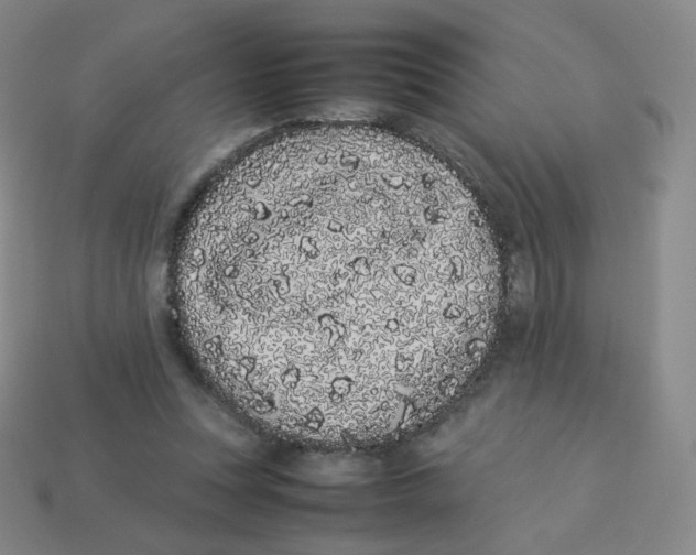X0000113260351200910081344