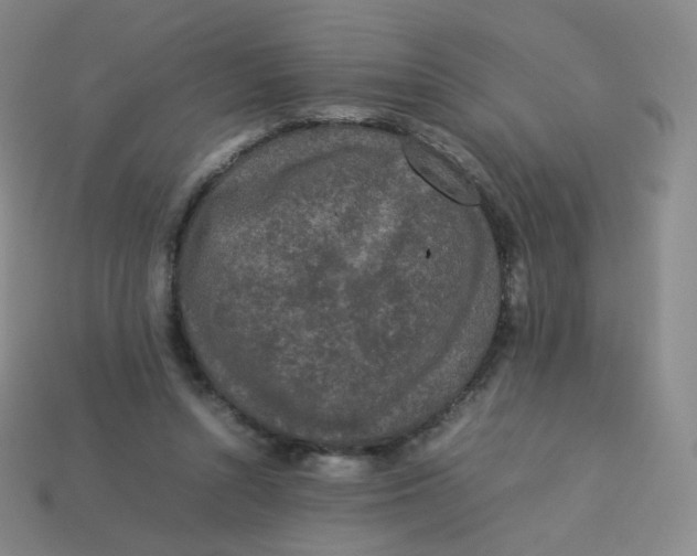 X0000113260352200910081344