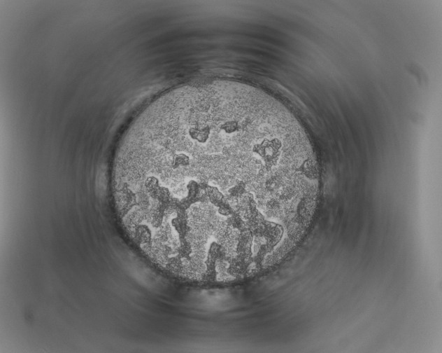 X0000113260353200910081344