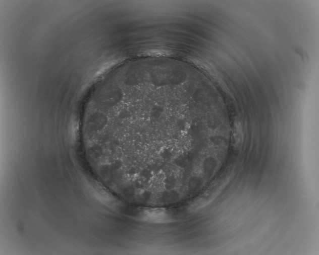 X0000113260355200910081344