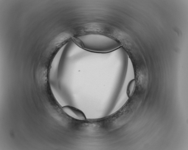X0000113260356200910081344
