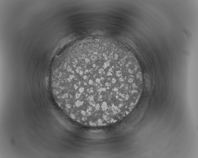 X0000113260357200910081344