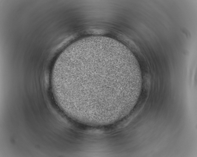 X0000113260358200910081344