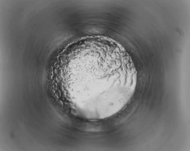 X0000113260359200910081344