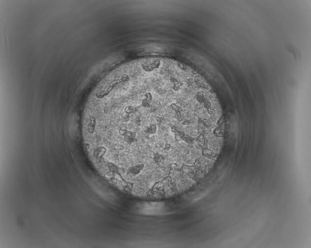 X0000113260361200910081344