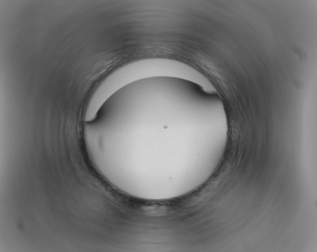 X0000113260362200910081344