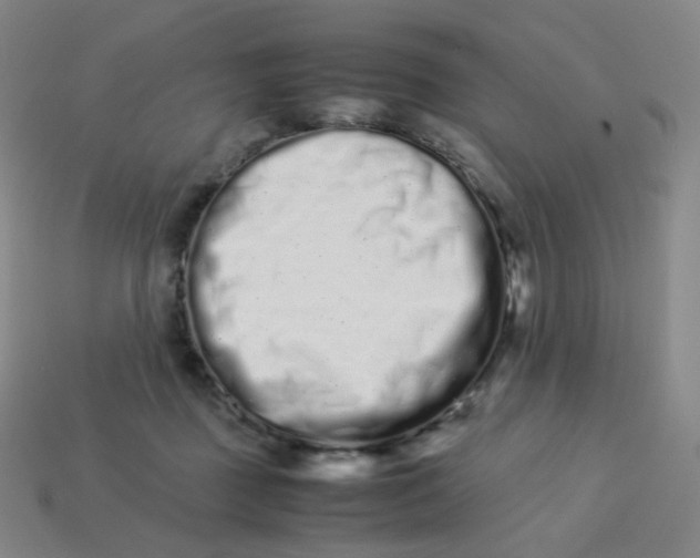X0000113260363200910081344