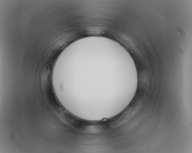 X0000113260364200910081344