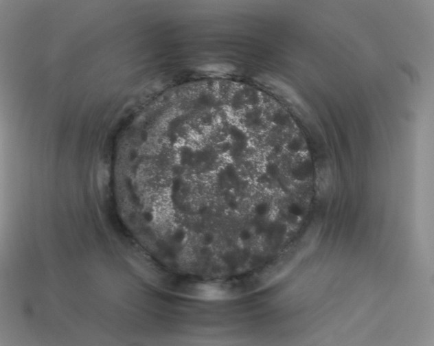 X0000113260365200910081344