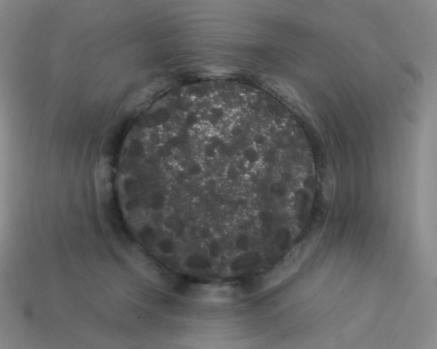X0000113260366200910081344