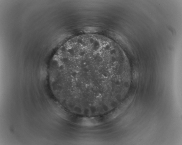 X0000113260367200910081344