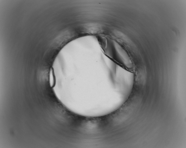 X0000113260368200910081344