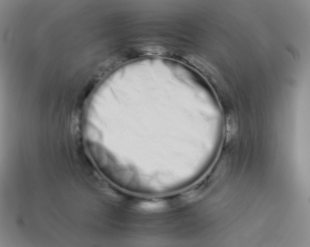 X0000113260369200910081344