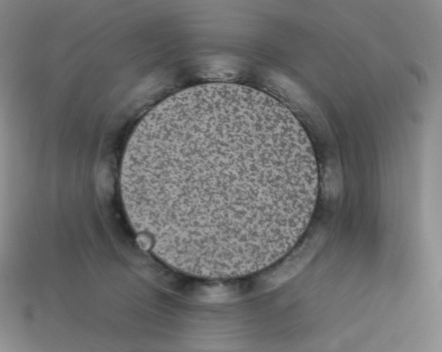 X0000113260370200910081344