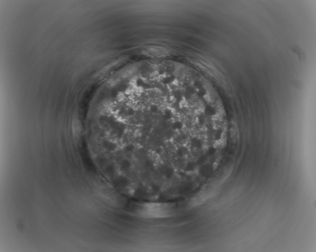 X0000113260371200910081344