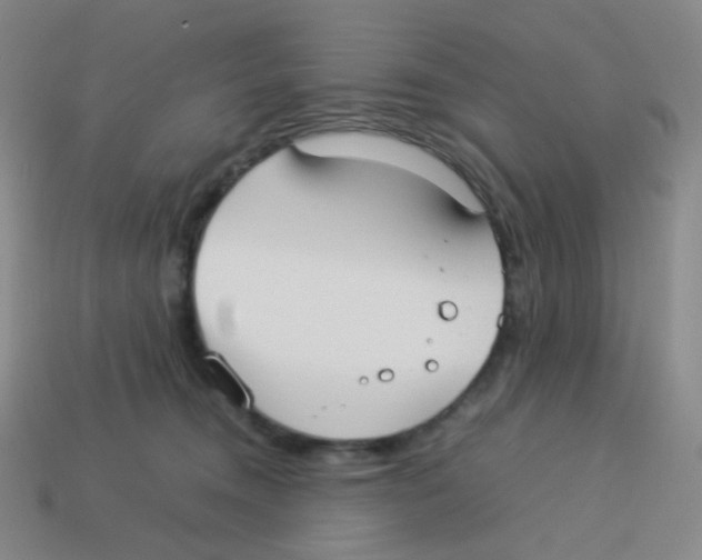 X0000113260372200910081344