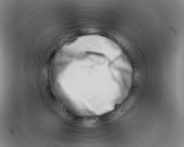 X0000113260373200910081344