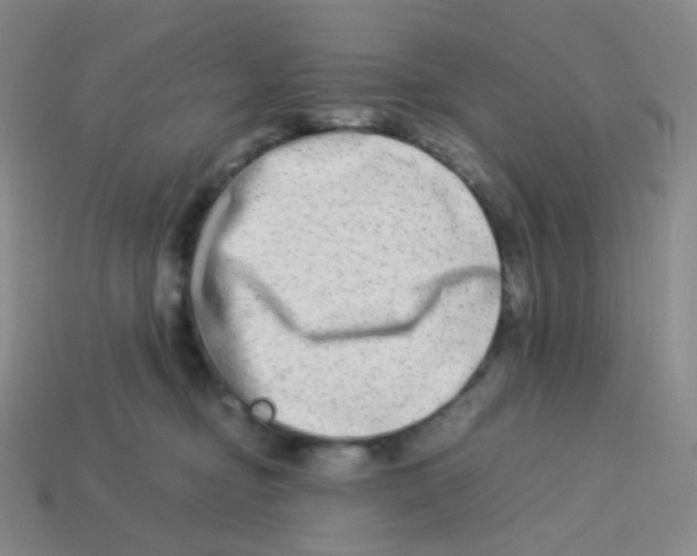 X0000113260374200910081344