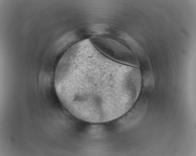 X0000113260376200910081344