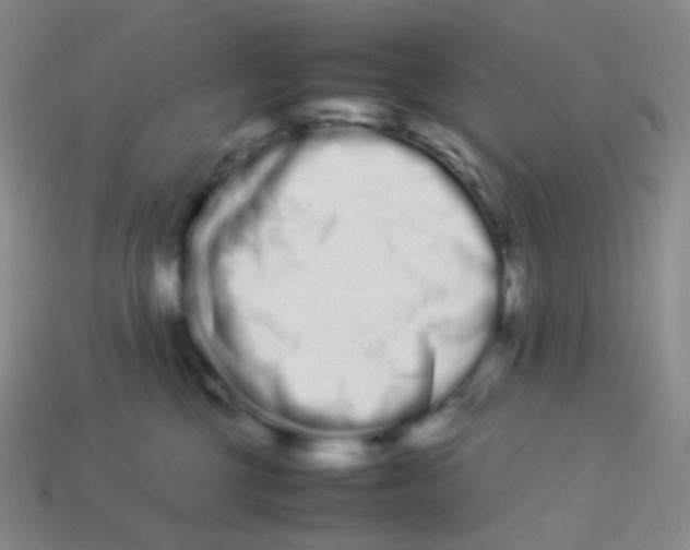 X0000113260377200910081344