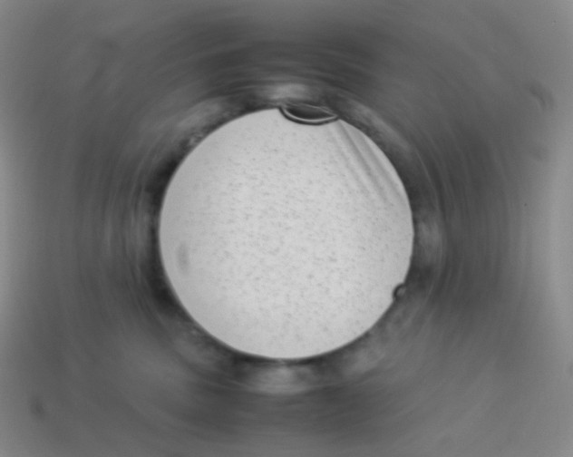 X0000113260379200910081344
