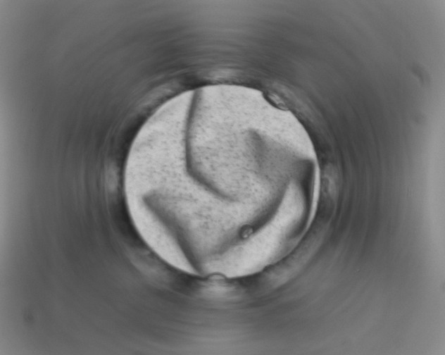 X0000113260380200910081344