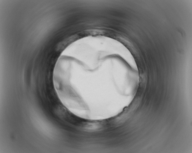 X0000113260381200910081344