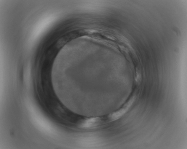 X0000113260382200910081344
