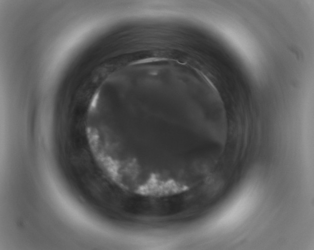X0000113260383200910081344