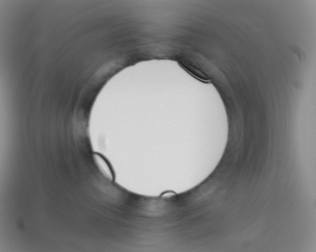 X0000113260384200910081344