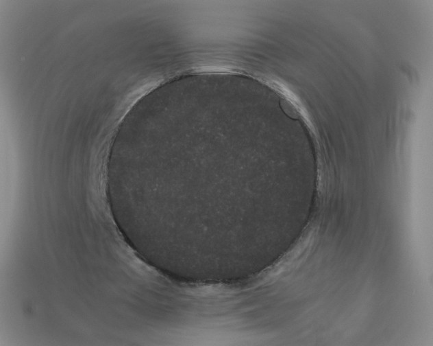 X0000113260385200910081344