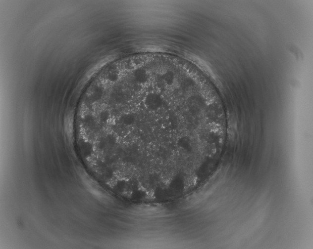 X0000113260386200910081344