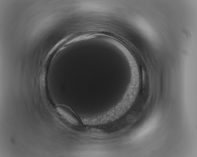 X0000113260387200910081344