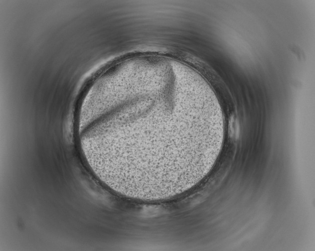 X0000113260388200910081344