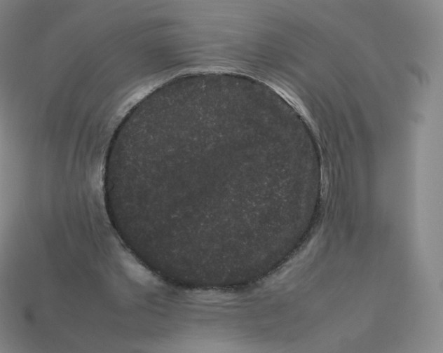 X0000113260389200910081344