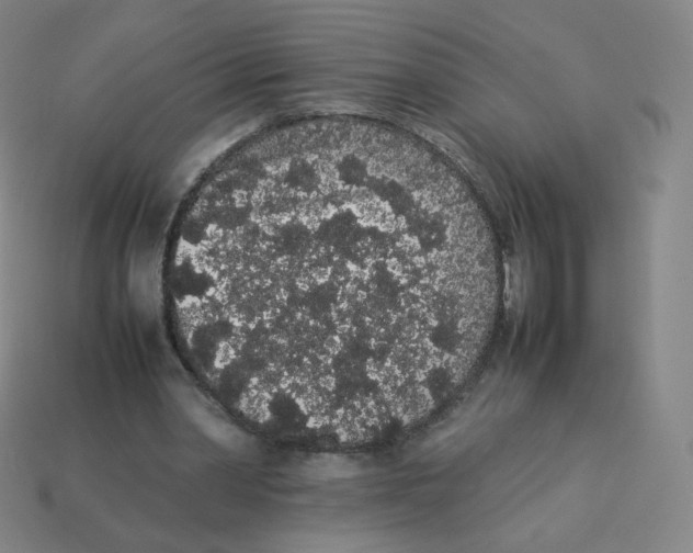 X0000113260390200910081343
