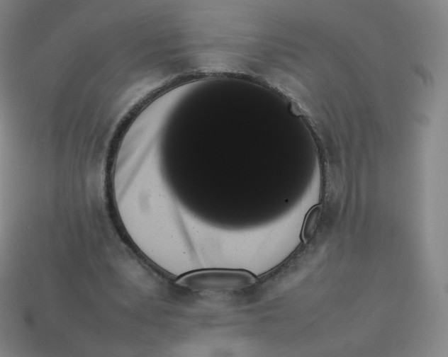 X0000113260391200910081343