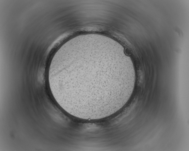 X0000113260392200910081343