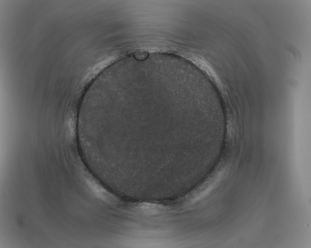 X0000113260393200910081343