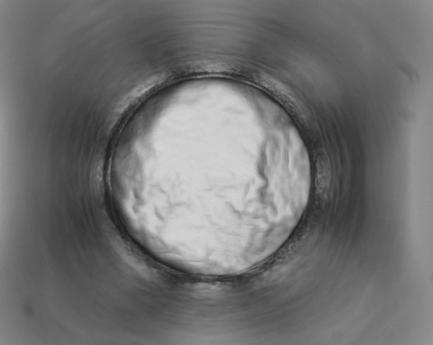 X0000113260394200910081343