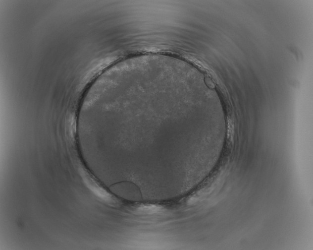 X0000113260397200910081343