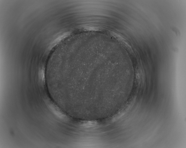X0000113260398200910081343