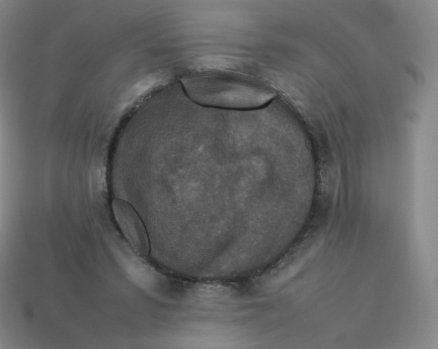 X0000113260399200910081343