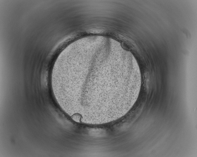 X0000113260400200910081343