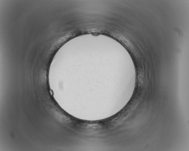 X0000113260401200910081343