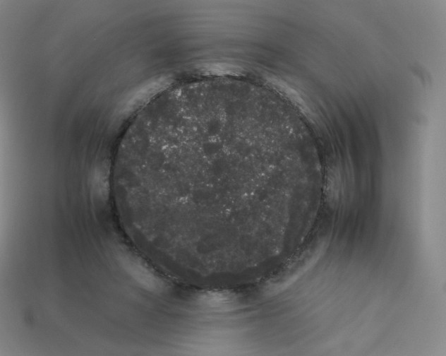 X0000113260402200910081343